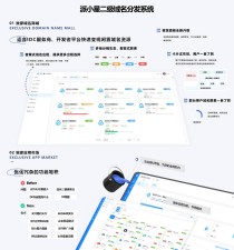 2025派小星DNS二级域名分发公测免费版